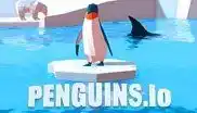 penguin-io